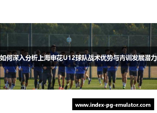 如何深入分析上海申花U12球队战术优势与青训发展潜力