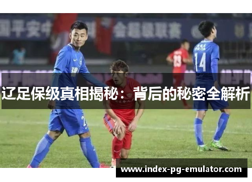 辽足保级真相揭秘：背后的秘密全解析