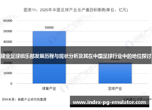 建业足球俱乐部发展历程与现状分析及其在中国足球行业中的地位探讨