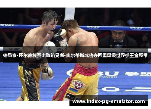 德昂泰·怀尔德复赛击败路易斯·奥尔蒂斯成功夺回重量级世界拳王金腰带