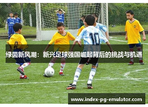 绿茵新风潮：新兴足球强国崛起背后的挑战与机遇